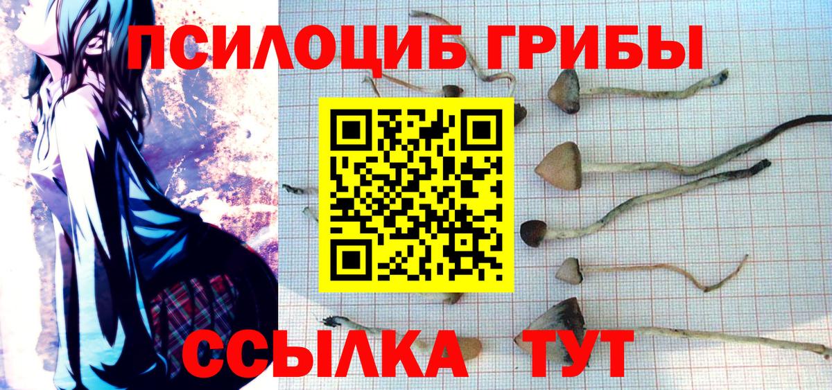 Псилоцибиновые грибы Magic Shrooms Кубинка