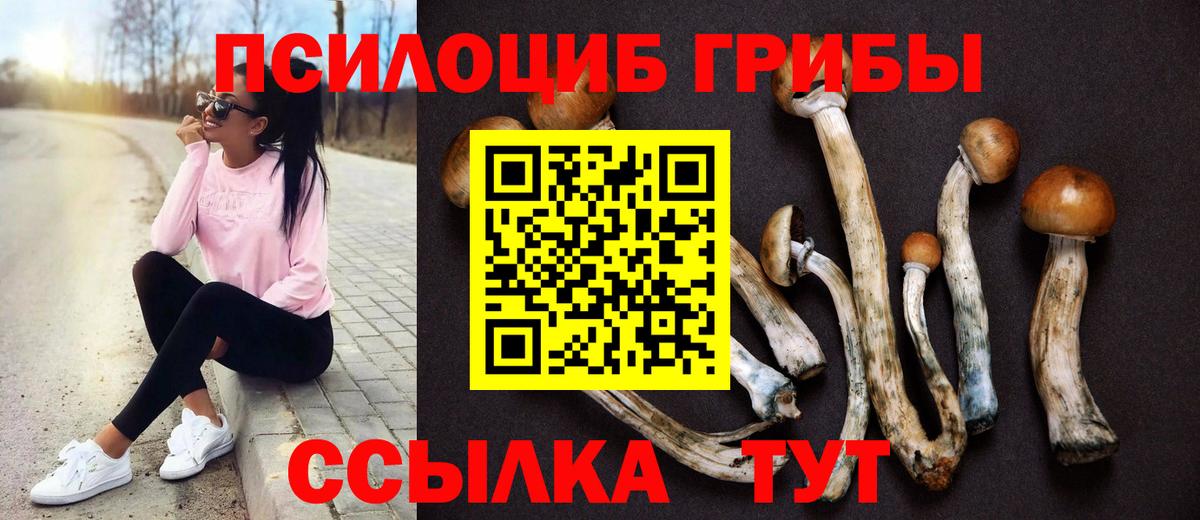 Псилоцибиновые грибы Cubensis  Псилоцибиновые грибы Psilocybe  Вход с VPN  Кубинка 